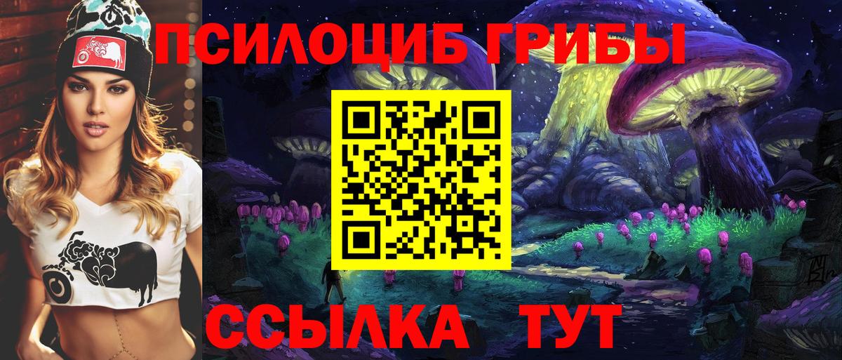 Галлюциногенные грибы Cubensis Нижний Тагил